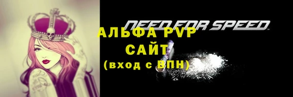 гидра Абинск